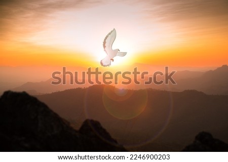 Doves fly in the sky. Christians have faith in Holy Spirit. silhouette worship to god with love Faith, Spirit and jesus christ. Christian praying for peace. Concept of worship in Christianity. Royalty-Free Stock Photo #2246900203
