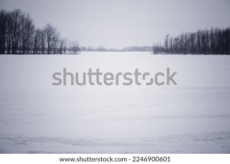 Frosty day in snowy area. Location place of Quebec Canada. Magnificent wintry wallpapers. 