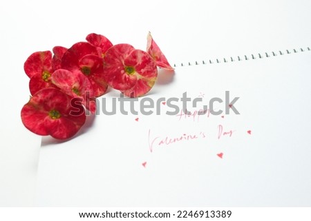 Happy Valentine's Day handwritten and a red Crown of Thorns flower on a white notebook