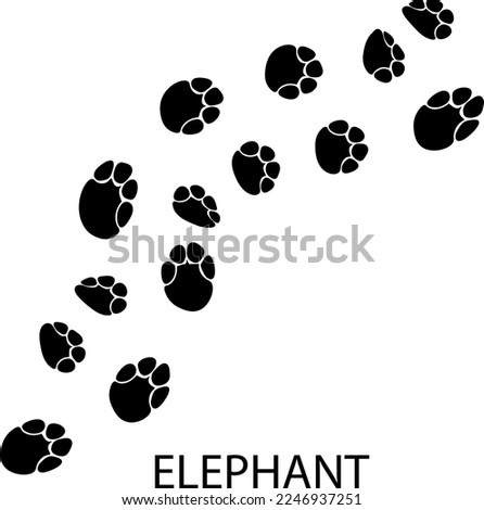 Elephant Paw print illustration on white background 