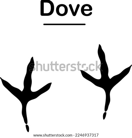 Dove paw print icon, bird foot print illustration on white background..eps