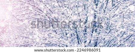 Branches of the tree covering by snow in snowfall.
