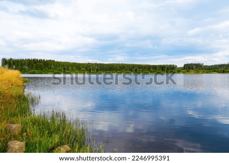 Hirschler pond near Clausthal-Zellerfeld in the Harz Mountains. Landscape with a small lake and idyllic nature.	