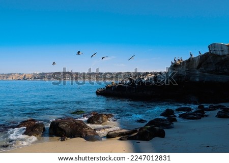 La Jolla Cove Beach Seascape, Brandt's Cormorants resting over the cliffs and Brown Pelicans flying  in La Jolla, San Diego, Southern California, USA