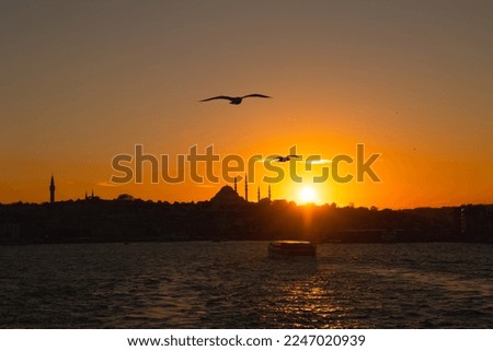Istanbul silhouette. Seagulls and silhouette of Suleymaniye Mosque from a ferry at sunset. Ramadan or islamic concept photo.