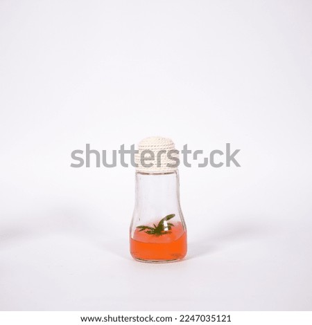 A beautiful picture of decorative plants example, orchid, aglaonema, nepenthes and wave of love plant in bottle with jelly medium. In white background and hemp rope on it.
