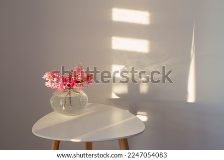 spring flowers in glass vase on background white wall in sunlight