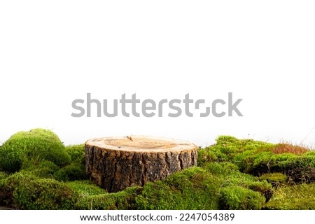 natural style. Wooden saw cut, round podium with green moss isolated on a white background. Still life for the presentation of products. Royalty-Free Stock Photo #2247054389
