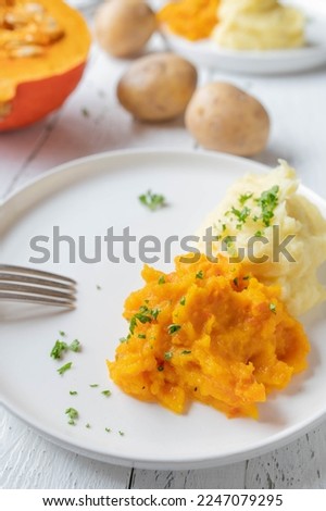 Pureed side dishes such as mashed potatoes and pumkin puree on a plate for dinner or lunch on white background