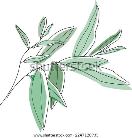 branch with leaves,tree twig vector illustration,lovely willow twig,summer twig with leaves.