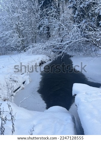 Small pond in the winter forest
