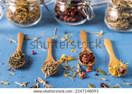 Variety of Dry Tea in Wooden Spoons on Blue Background Horizontal Jars with Dried Tea
