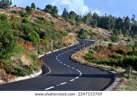 Winding mountain road through the forests of Madeira island Royalty-Free Stock Photo #2247153769