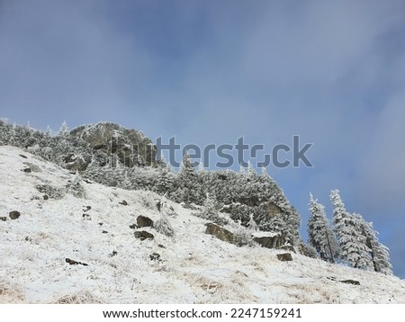 Beautiful winter landscape in Ceahlau Mountains, Romania. Trees covered in snow.