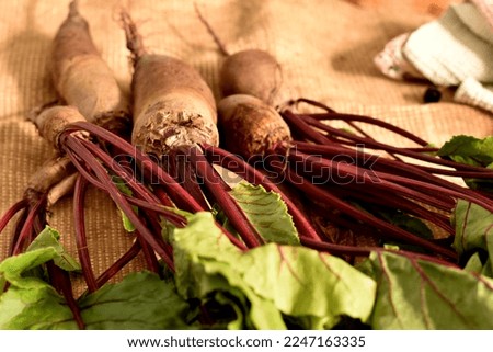 The picture shows a crop of vegetables, several fruits of red beets with green tops.