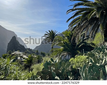 Breattaking view of the famous village Masca, Teno mountains and tropical palm trees on Tenerife island, Spain Royalty-Free Stock Photo #2247176329