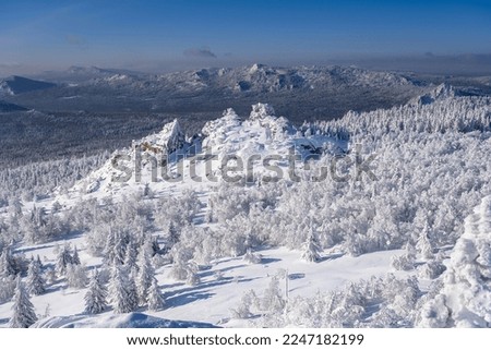 Snowy tree branches against the blue sky after a heavy snowfall in the Ural mountains.
