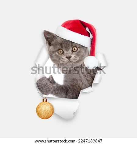Funny cat wearing red santa hat holding a Christmas tree toy and looking through a hole in white paper 