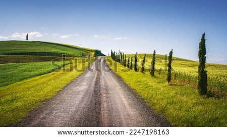 Monteroni d'Arbia, route of the via francigena. Road, fields and trees. Siena province, Tuscany. Italy, Europe. Royalty-Free Stock Photo #2247198163