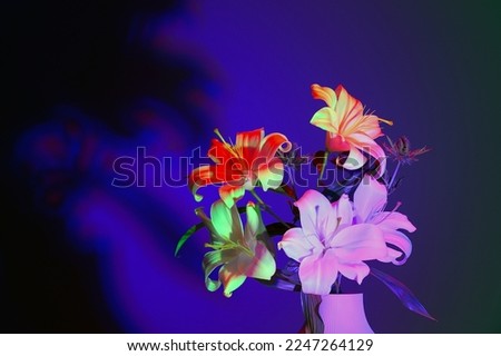 Lilies shot in colored light