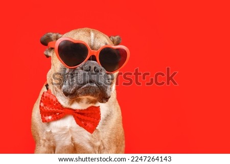 Funny French Bulldog dog wearing heart shaped Valentine's Day glasses and bow tie on red background with copy space