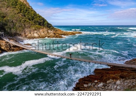 Suspension walking bridge at TsitsiKamma national park at the  Garden Route - South Africa Royalty-Free Stock Photo #2247292291
