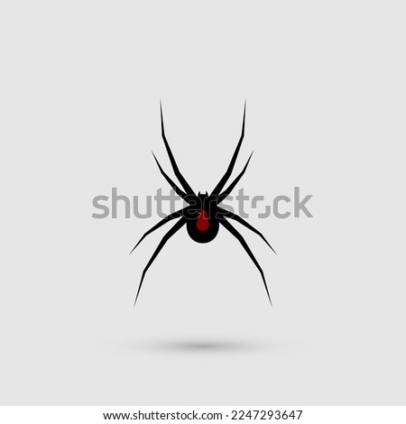 Silhouette of black spider.Spider close-up. Vector spider
