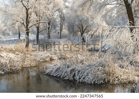 Winter landscape on a snowy sunny day with an unfrozen river and snow-covered trees 