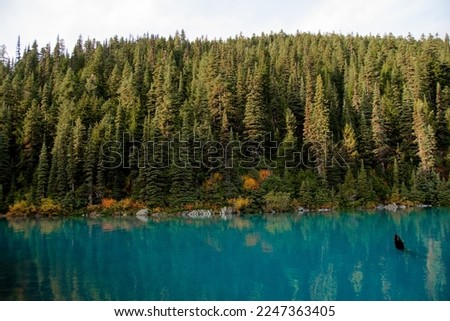 Gatorade filled lakes in British Columbia
