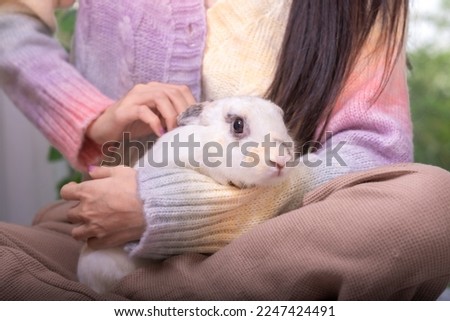 Sweetness of woman and her pet, rabbit on human lap with love touching and caring.