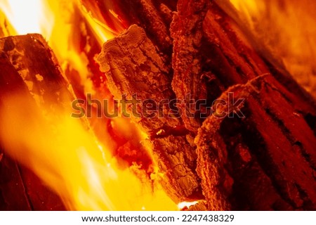 Fire. Fire is an important process affecting ecological systems around the world. Positive effects include stimulating growth and maintaining various ecological systems
