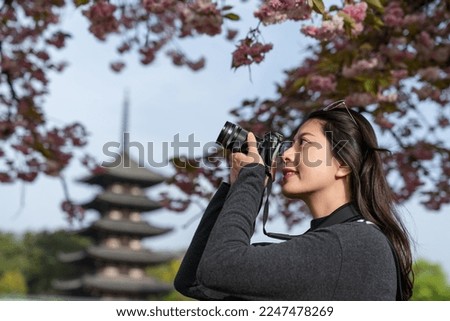 side view portrait of attractive asian Japanese girl photographer taking picture of beautiful scenery with slr camera near Kofuku-ji gojunoto pagoda under cherry blossoms