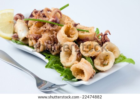 deep fried calamari with letucce and lemon Royalty-Free Stock Photo #22474882