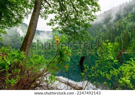 Heavy torrential rain in the tropical forest. The pouring tropical rain, drops of rain against the background of lake and green trees.