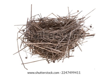 bird's nest isolated on white background Royalty-Free Stock Photo #2247499411