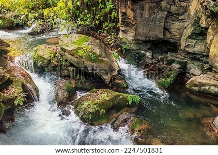 landscape of mountain stream flowing among stones
