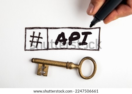 API, Application Programming Interface concept. Gilded key on a white background.