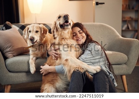 Friendly animals. Woman is with two golden retriever dogs at home. Royalty-Free Stock Photo #2247511019