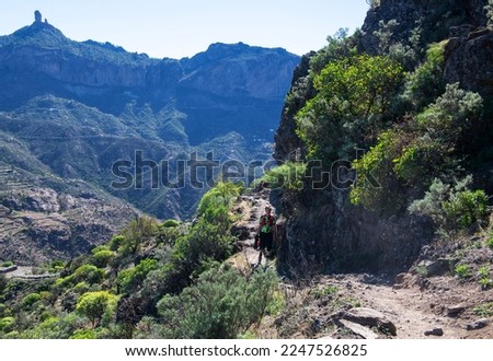 Alone man hiking in the mountains in Tejeda area, Gran Canaria with the Bantyaga mountains in the background. Active life style. Summer activities. Hiking. Photographer taking photo in the mountains