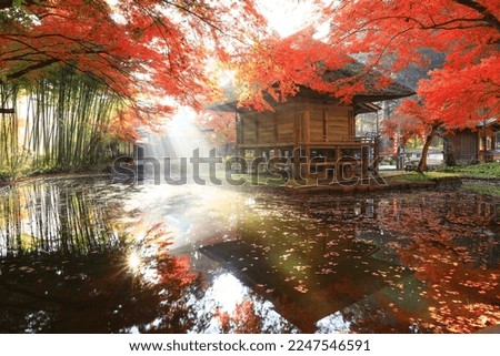 World Heritage Hiraizumi with Autumn Leaves Royalty-Free Stock Photo #2247546591