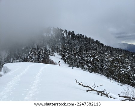 Beautiful winter hiking path with white cover of snow at Panorama Trail in Borjomi-Kharagauli National Park, Georgia