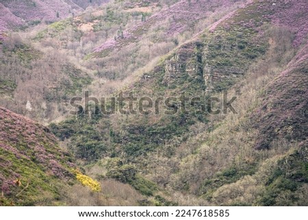 Succession of hills covered with heather and dotted with rocky outcrops in the Courel Mountain Range geopark in Lugo Galicia