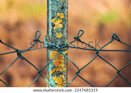 Picture of barbed wire with an iron pole