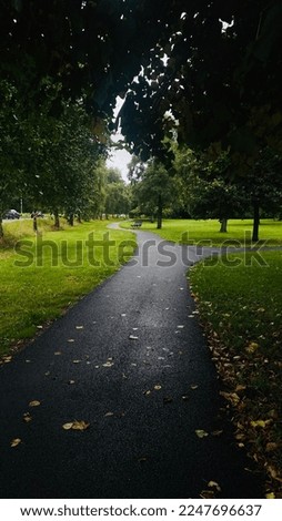 Walking path in limerick city