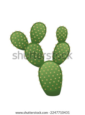 Green exotic desert cactus with thorns decorative plant vector illustration isolated on white background Royalty-Free Stock Photo #2247710431