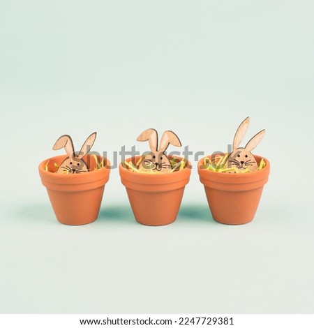 Cute easter bunny or rabbit baby in a flower pot, spring holiday greeting card 