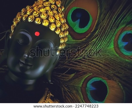 laughing buddha idol with peacock feather in the background.peaceful smiling buddha statue edited with bokeh effect.beautiful background image of buddha in calm meditated state.peaceful backgrounds