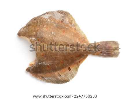  Side view of raw frozen headless flounder fish isolated on white