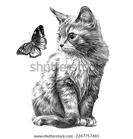 Cute kitten sitting and looking at the flying butterfly hand drawn sketch engraving style Vector illustration