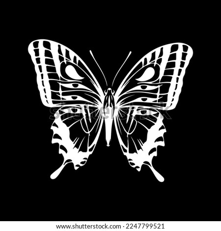 vector illustration of a butterfly silhouette